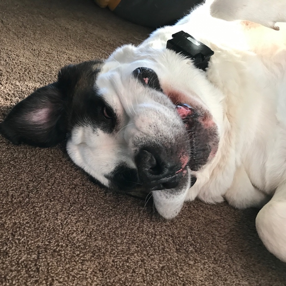 Meet your Posher, Cole